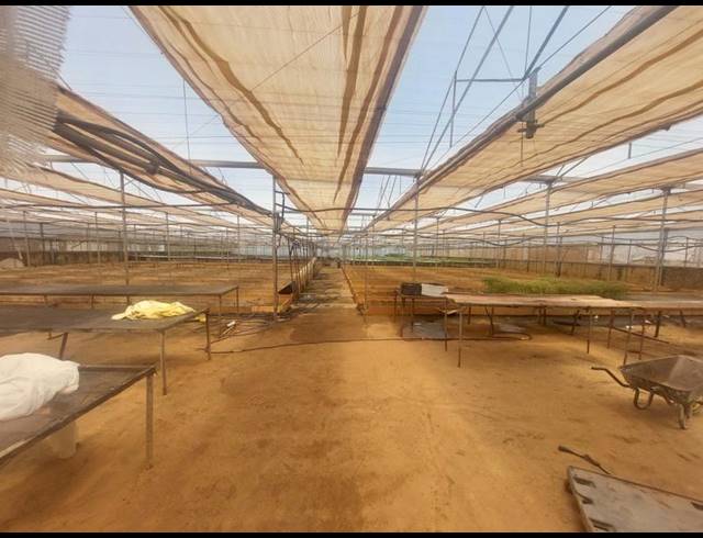 FARM FOR SALE IN WELTEVREDEN